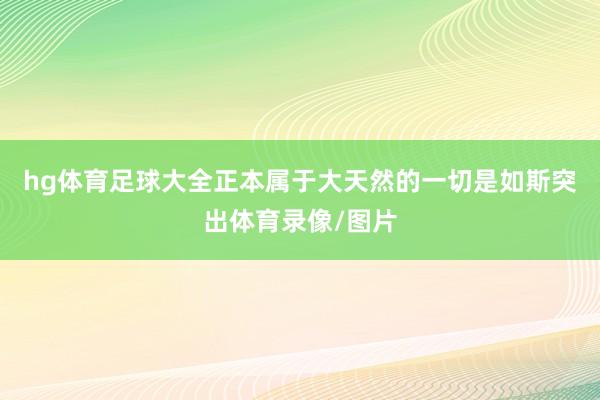 hg体育足球大全正本属于大天然的一切是如斯突出体育录像/图片