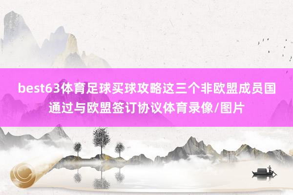 best63体育足球买球攻略这三个非欧盟成员国通过与欧盟签订协议体育录像/图片