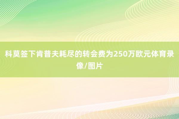 科莫签下肯普夫耗尽的转会费为250万欧元体育录像/图片