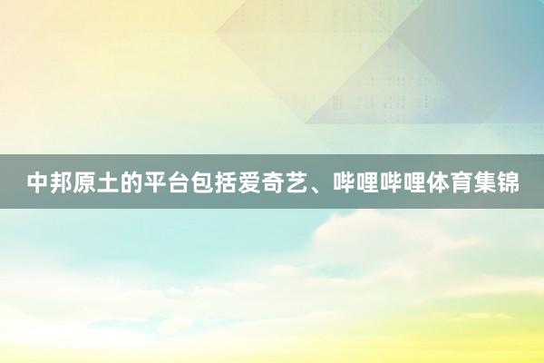 中邦原土的平台包括爱奇艺、哔哩哔哩体育集锦