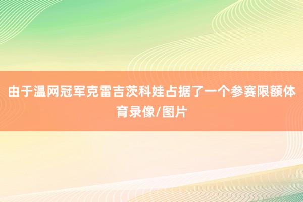 由于温网冠军克雷吉茨科娃占据了一个参赛限额体育录像/图片