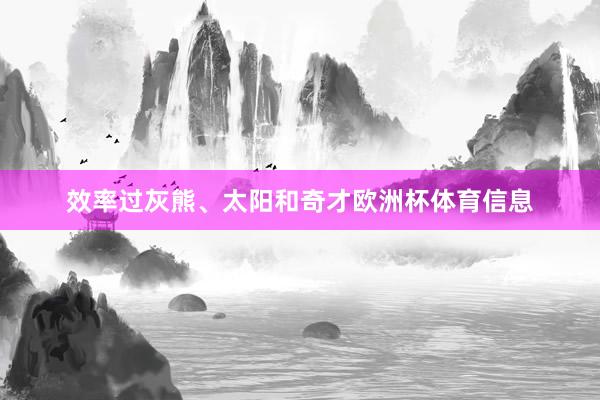 效率过灰熊、太阳和奇才欧洲杯体育信息