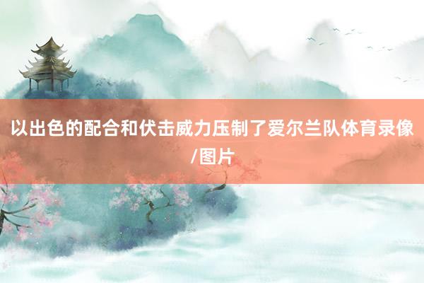 以出色的配合和伏击威力压制了爱尔兰队体育录像/图片