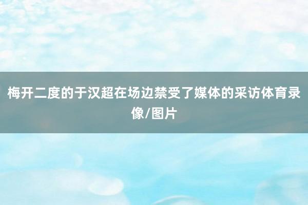 梅开二度的于汉超在场边禁受了媒体的采访体育录像/图片