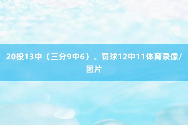 20投13中（三分9中6）、罚球12中11体育录像/图片